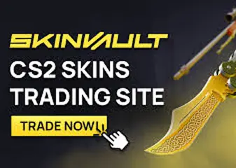 SKINVAULT